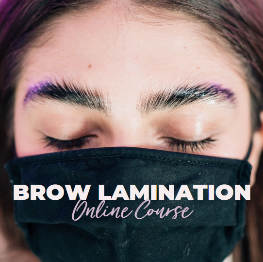 Brow Lamination Course LivBay Lash Classes